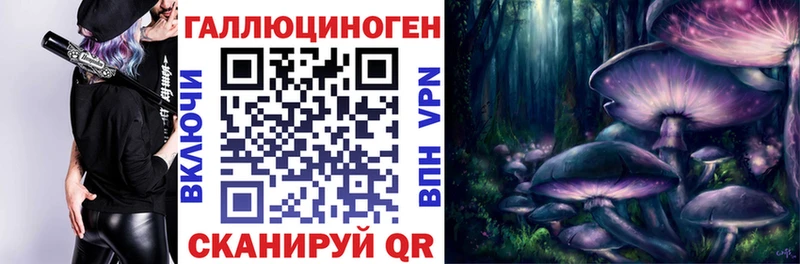 Галлюциногенные грибы Cubensis как найти закладки Аргун